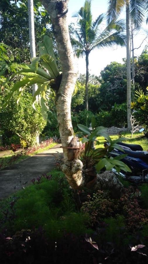 Balian Bliss Retreat Resort - Adults Only Экстерьер фото