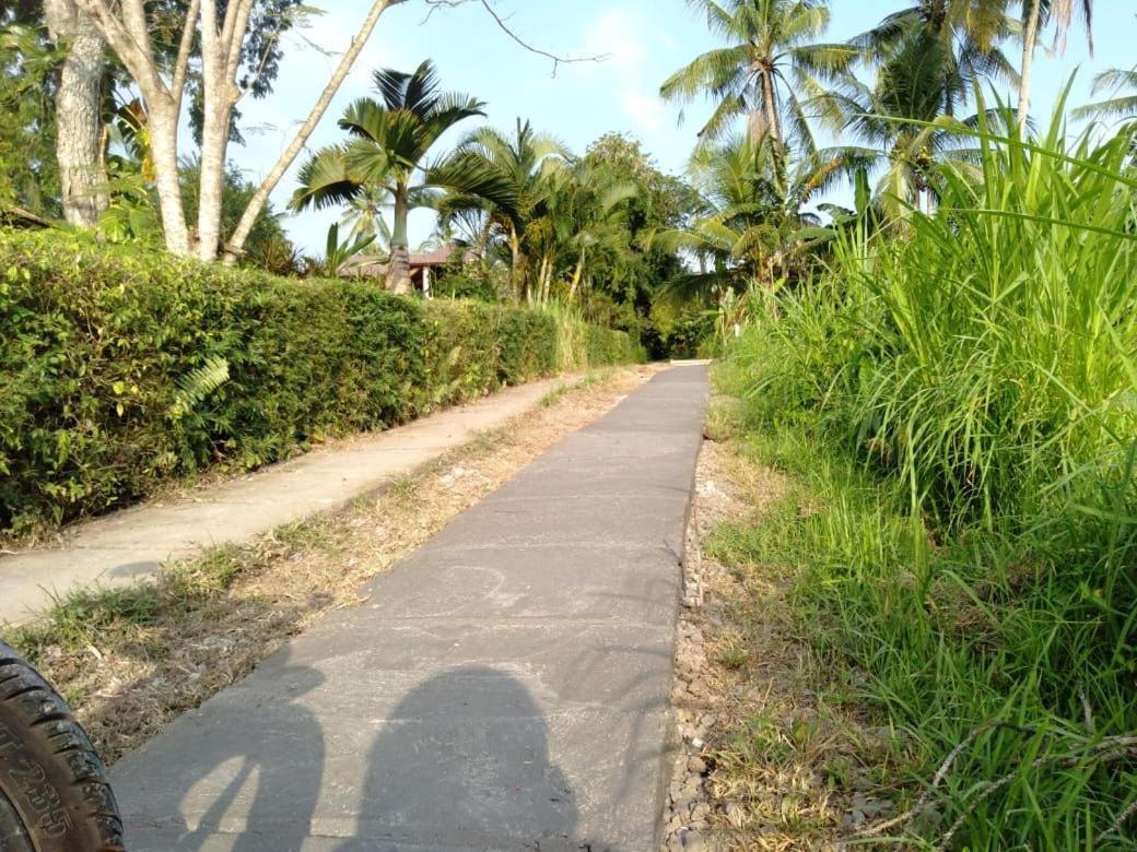 Balian Bliss Retreat Resort - Adults Only Экстерьер фото