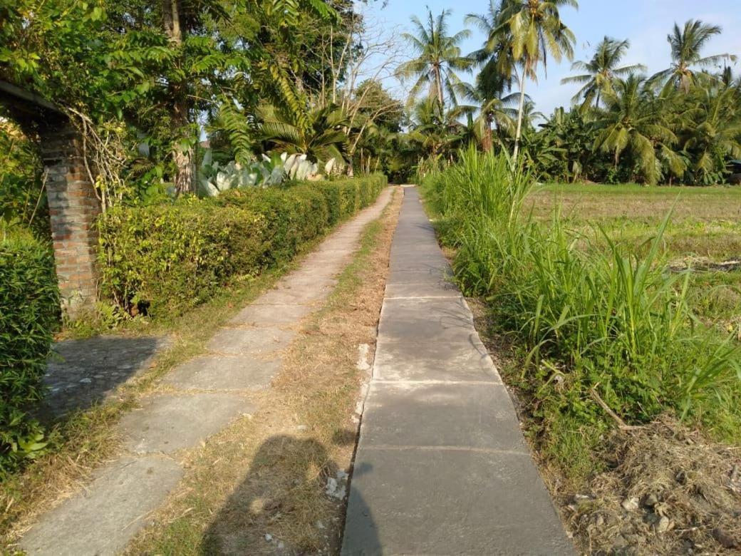 Balian Bliss Retreat Resort - Adults Only Экстерьер фото